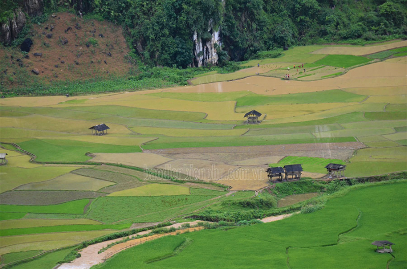 Điện Biên: Bỏ ngỏ tiềm năng du lịch nông nghiệp